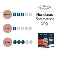 Moliendo Pratik Kahve Çeşitleri